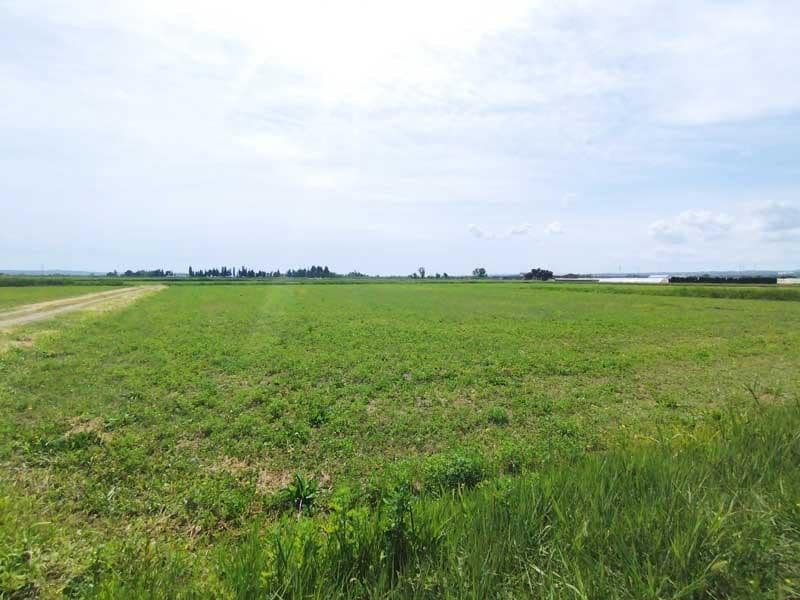 Terreno Non Edificato in vendita in Saragozza citta - 45.000 € (Rif: 9645721)