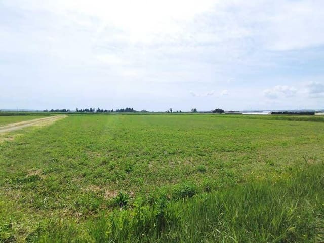 Terreno Non Edificato in vendita in Saragozza città - 45.000 € (Rif: 9645721)