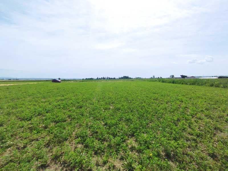 Terreno Non Edificato in vendita in Saragozza citta - 45.000 € (Rif: 9645721)