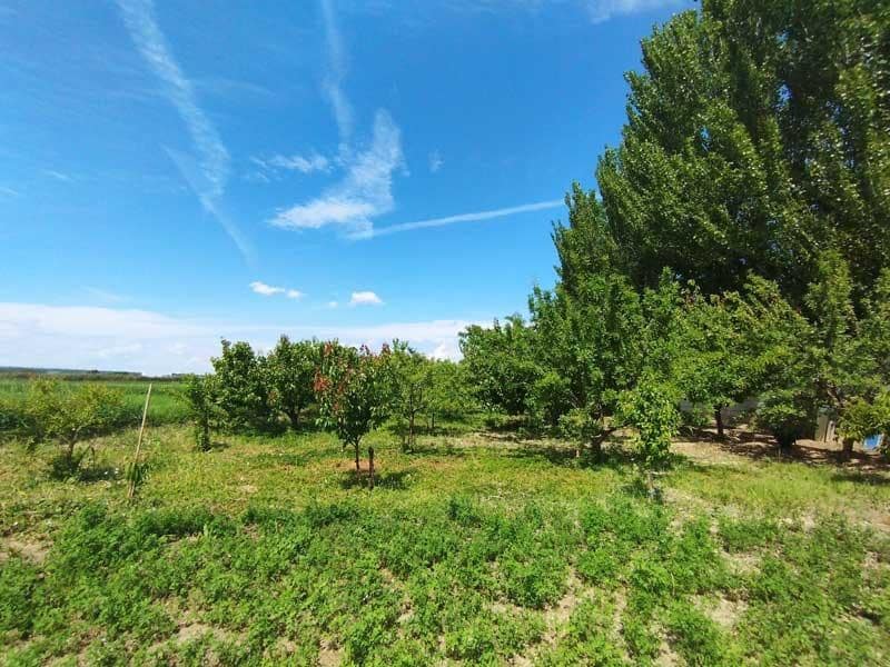 Terreno Non Edificato in vendita in Saragozza citta - 45.000 € (Rif: 9645721)