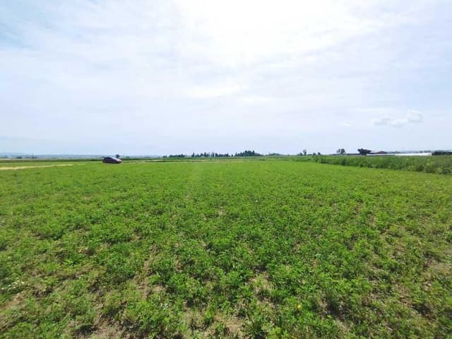 Terreno Non Edificato in vendita in Saragozza città - 45.000 € (Rif: 9645721)