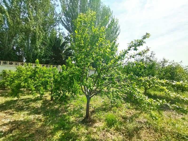 Terreno Non Edificato in vendita in Saragozza citta - 45.000 € (Rif: 9645721)