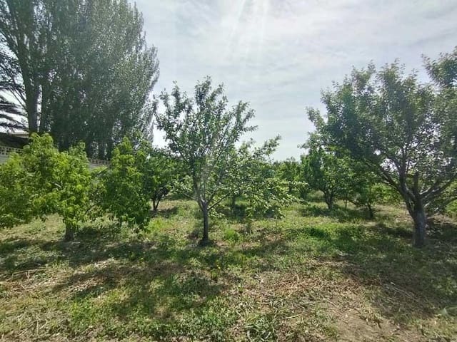 Terreno Non Edificato in vendita in Saragozza città - 45.000 € (Rif: 9645721)