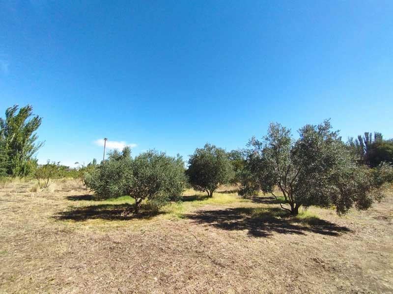 1 sovrum Finca/Hus på landet till salu i Zaragoza stad med garage - 165 000 € (Ref: 9645729)