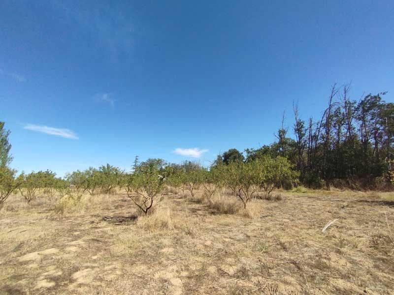 1 sovrum Finca/Hus på landet till salu i Zaragoza stad med garage - 165 000 € (Ref: 9645729)