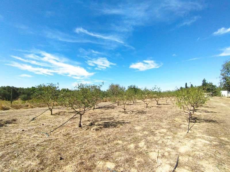 1 sovrum Finca/Hus på landet till salu i Zaragoza stad med garage - 165 000 € (Ref: 9645729)