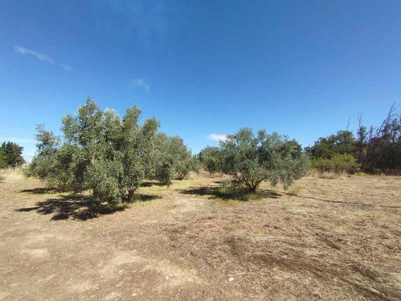 1 sovrum Finca/Hus på landet till salu i Zaragoza stad med garage - 165 000 € (Ref: 9645729)