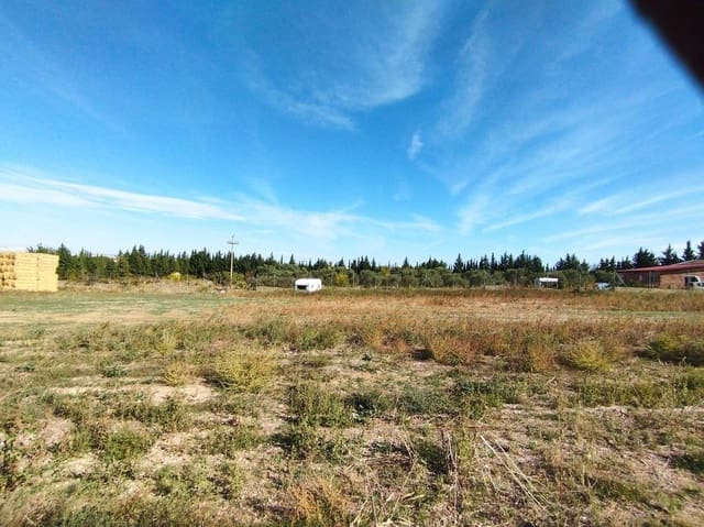 Terreno Non Edificato in vendita in Saragozza città - 54.000 € (Rif: 9645741)