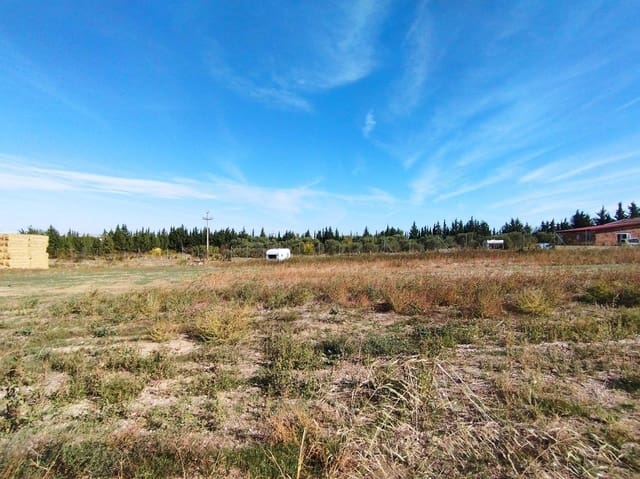 Terreno Non Edificato in vendita in Saragozza città - 54.000 € (Rif: 9645741)