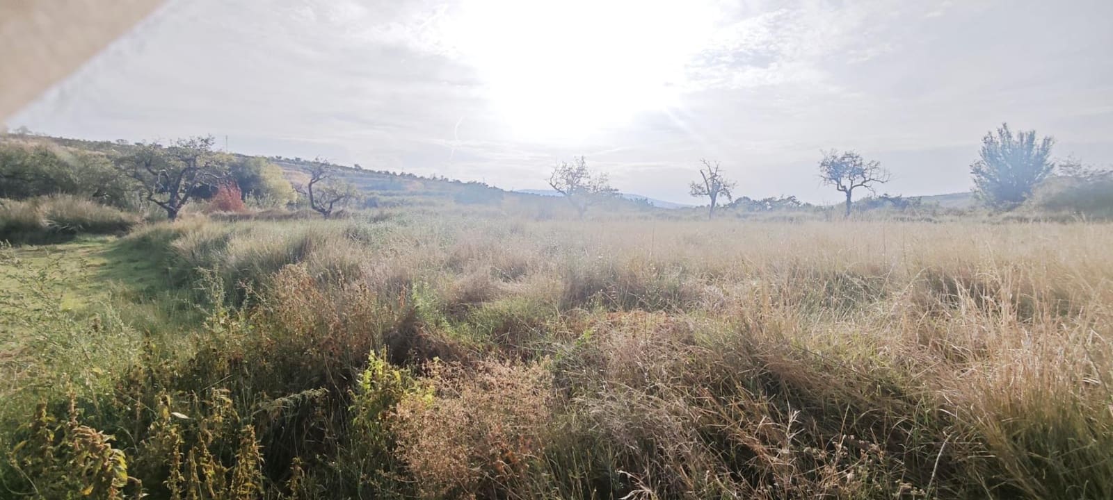 3 sypialnia Finka/Dom wiejski na sprzedaż w Belmonte de Gracian - 25 000 € (Ref: 9645748)