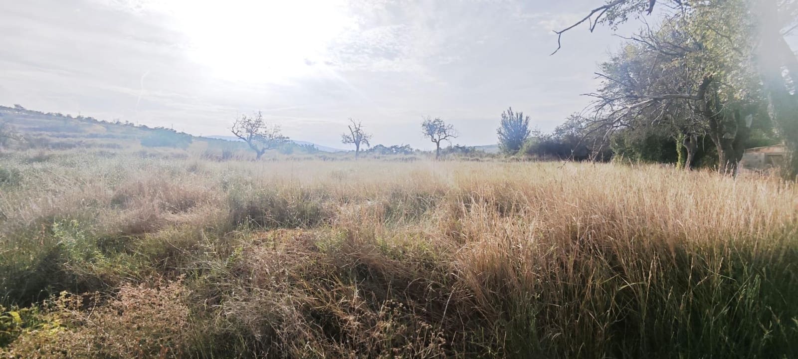 3 sypialnia Finka/Dom wiejski na sprzedaż w Belmonte de Gracian - 25 000 € (Ref: 9645748)