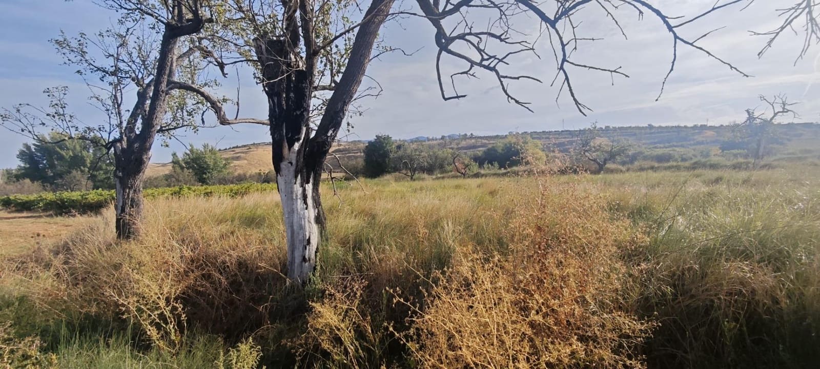 3 sypialnia Finka/Dom wiejski na sprzedaż w Belmonte de Gracian - 25 000 € (Ref: 9645748)