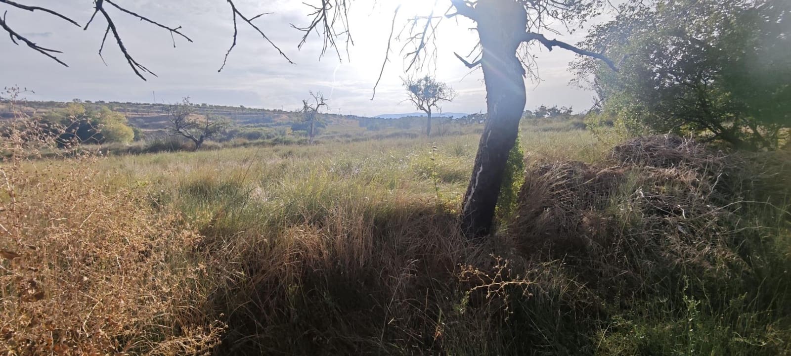 3 sypialnia Finka/Dom wiejski na sprzedaż w Belmonte de Gracian - 25 000 € (Ref: 9645748)