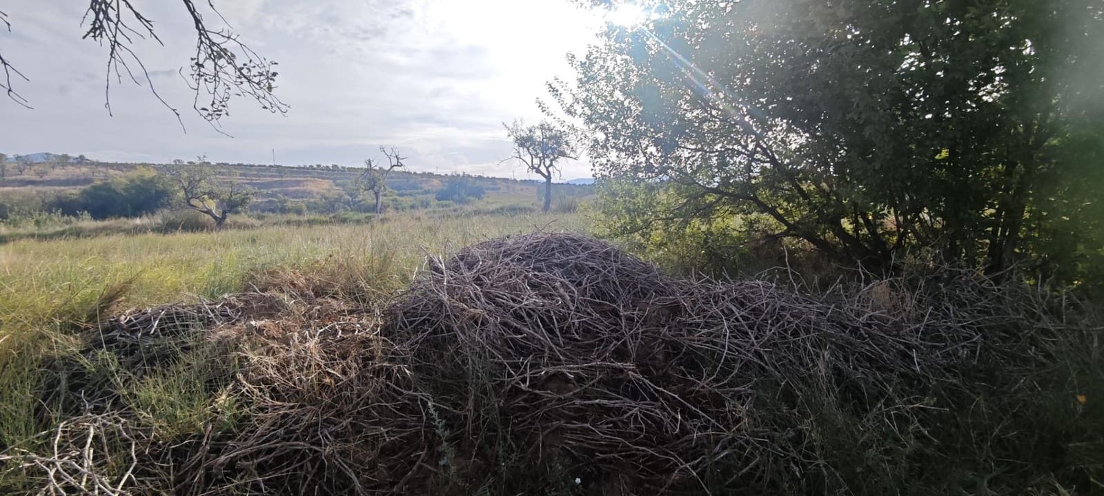 3 sypialnia Finka/Dom wiejski na sprzedaż w Belmonte de Gracian - 25 000 € (Ref: 9645748)