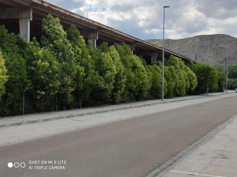 Negocio en Calatayud en alquiler - 2.000 € (Ref: 9645761)