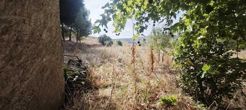 2 bedroom Villa for sale in Torralba de Ribota - € 85,000 (Ref: 9726774)