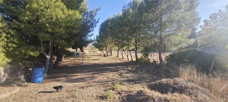 2 bedroom Villa for sale in Torralba de Ribota - € 85,000 (Ref: 9726774)