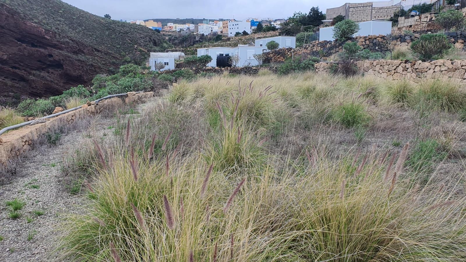 1 soveværelse Byhus til salg i Granadilla de Abona - € 239.000 (Ref: 7984717)