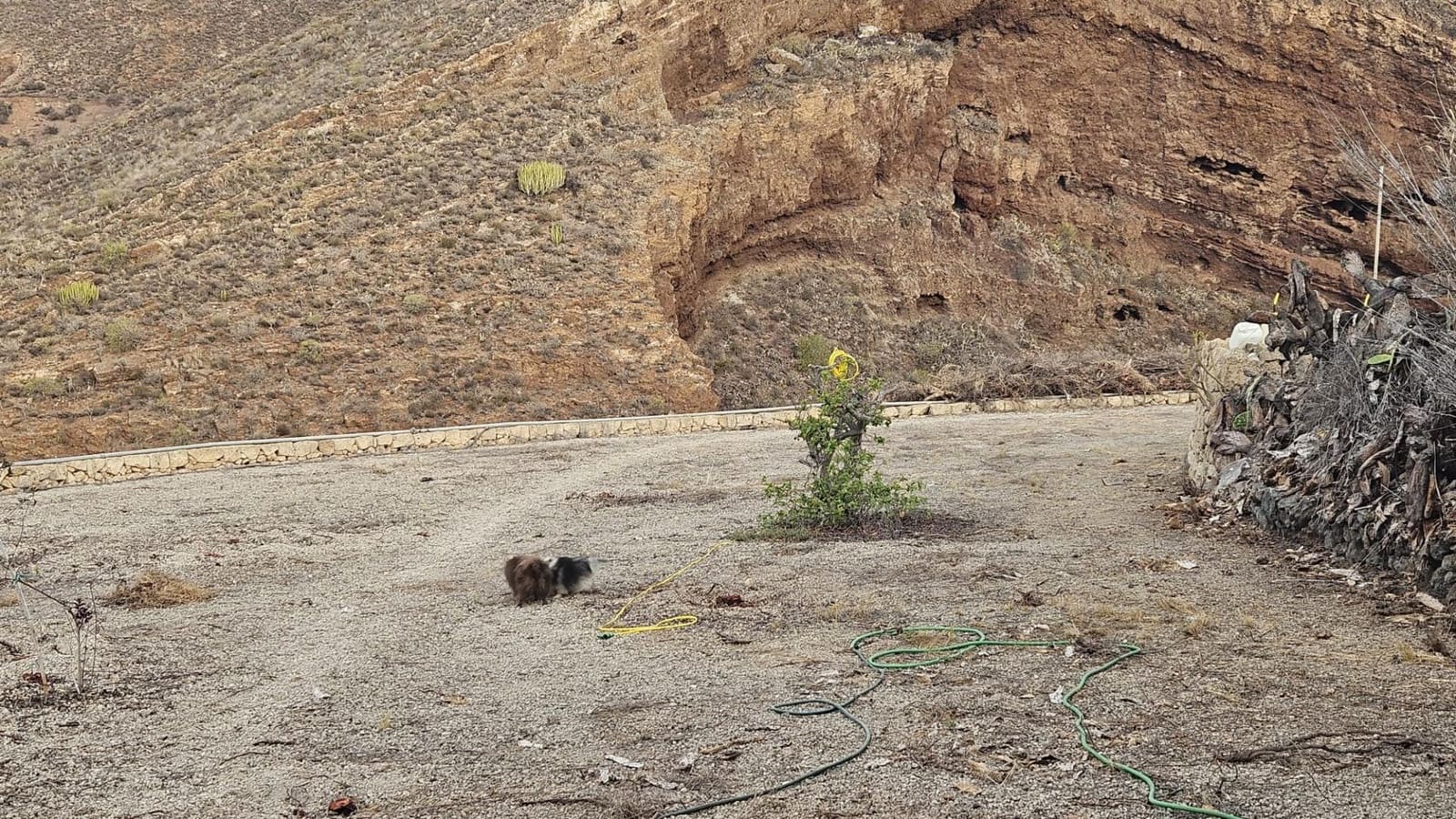 1 soveværelse Byhus til salg i Granadilla de Abona - € 239.000 (Ref: 7984717)