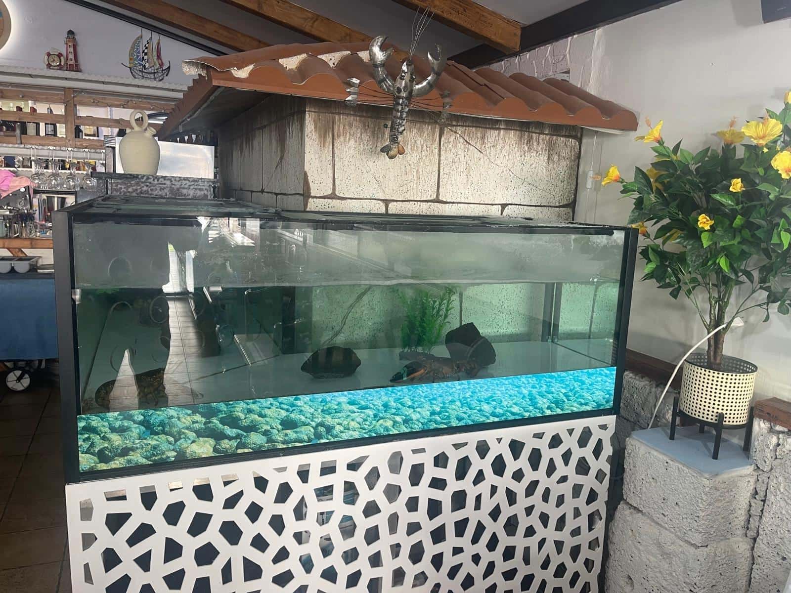 Komercyjne do wynajęcia w San Miguel de Abona - 4 500 € (Ref: 8670304)