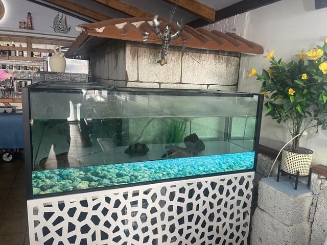 Gewerbe zu vermieten in San Miguel de Abona - 4.500 € (Ref: 8670304)