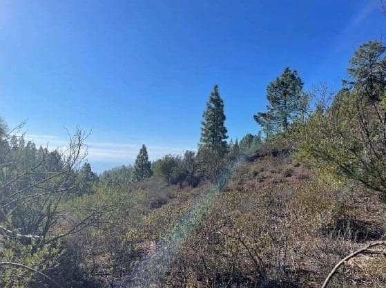 Terre non Aménagée à vendre à El Medano - 25 000 € (Ref: 8923843)