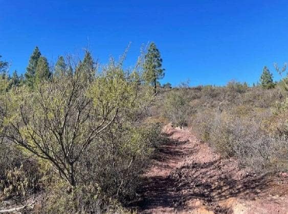 Terre non Aménagée à vendre à El Medano - 25 000 € (Ref: 8923843)