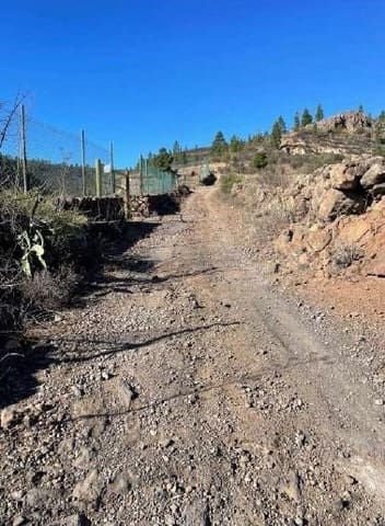 Terre non Aménagée à vendre à El Medano, Granadilla de Abona - 25 000 € (Ref: 8923843)