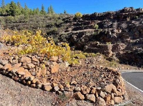 Terre non Aménagée à vendre à El Medano - 25 000 € (Ref: 8923843)