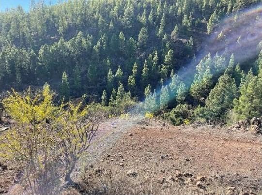 Terre non Aménagée à vendre à El Medano, Granadilla de Abona - 25 000 € (Ref: 8923843)