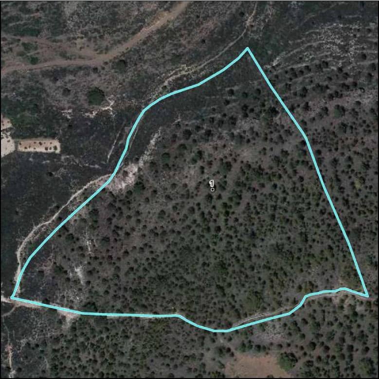 Terre non Aménagée à vendre à El Medano - 25 000 € (Ref: 8923843)