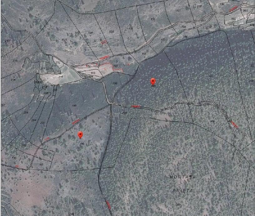 Terre non Aménagée à vendre à El Medano - 25 000 € (Ref: 8923843)