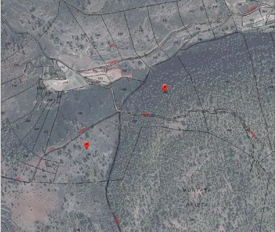 Terre non Aménagée à vendre à El Medano, Granadilla de Abona - 25 000 € (Ref: 8923843)