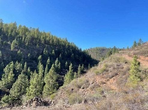 Terre non Aménagée à vendre à El Medano, Granadilla de Abona - 25 000 € (Ref: 8923843)