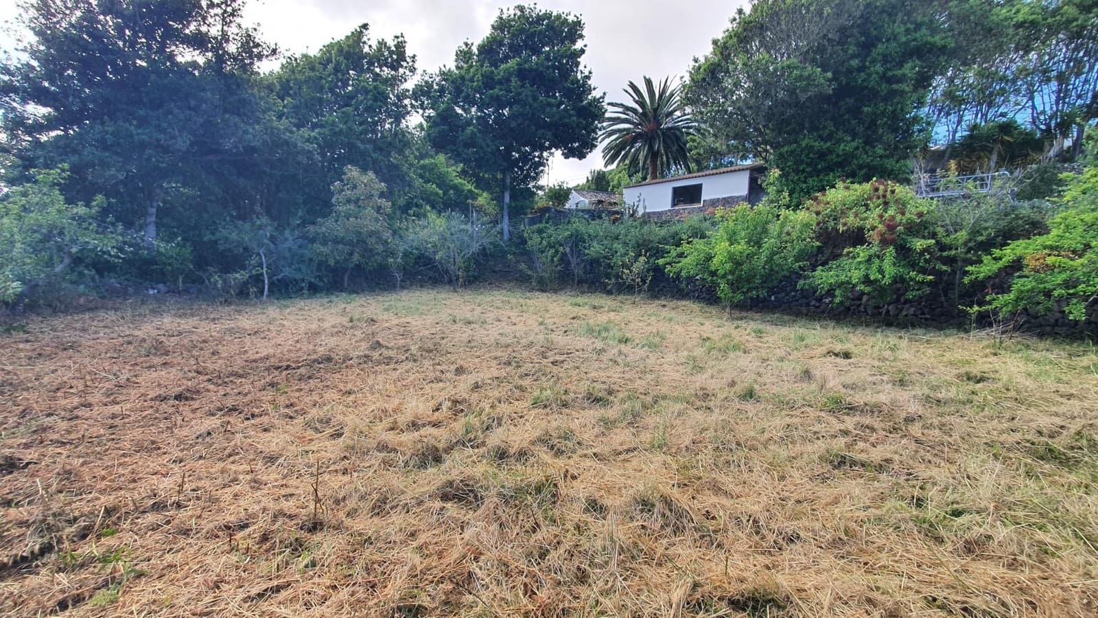 5 soveværelse Finca/Landehus til salg i El Tanque - € 368.000 (Ref: 9059554)