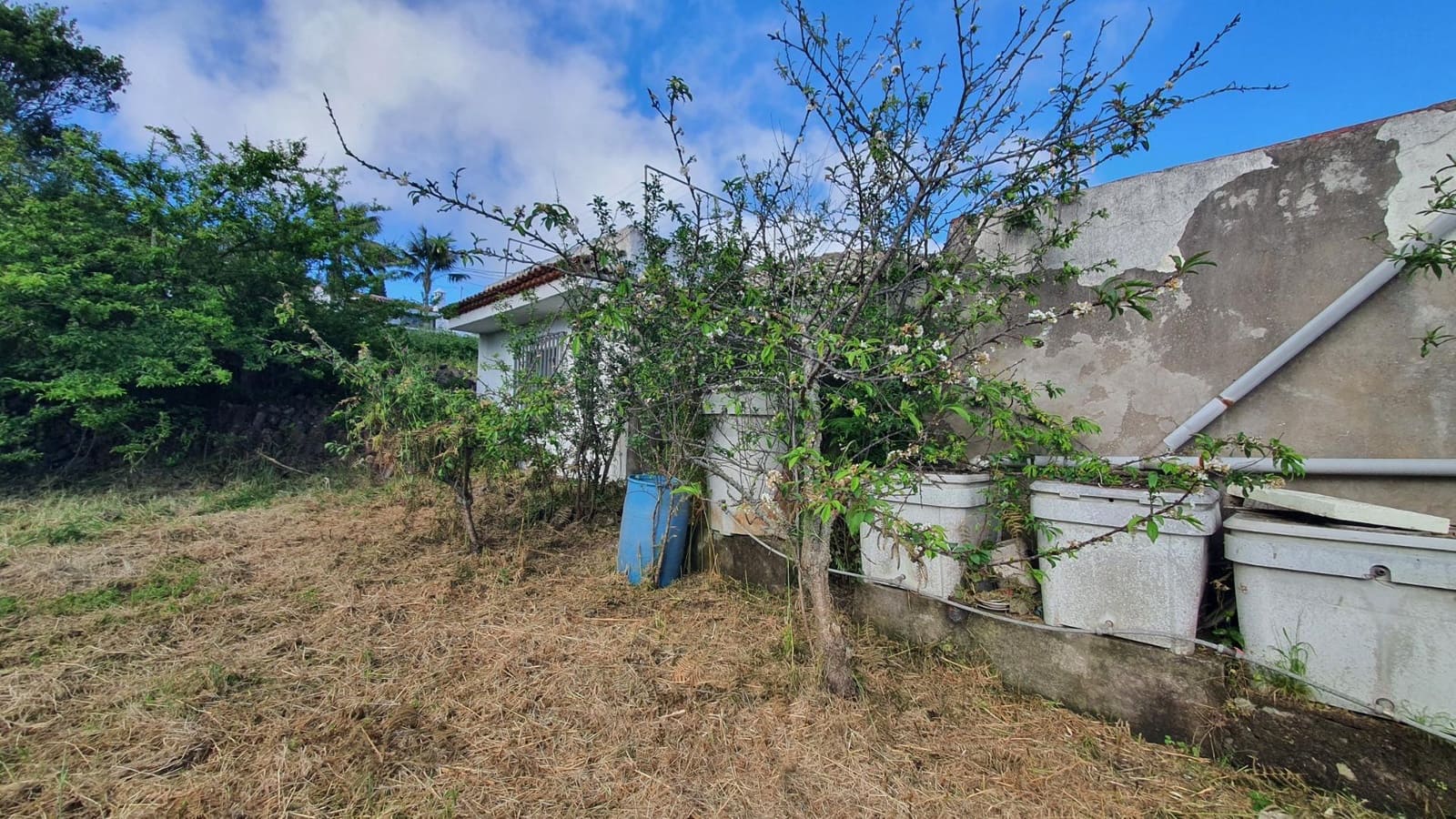 5 soveværelse Finca/Landehus til salg i El Tanque - € 368.000 (Ref: 9059554)