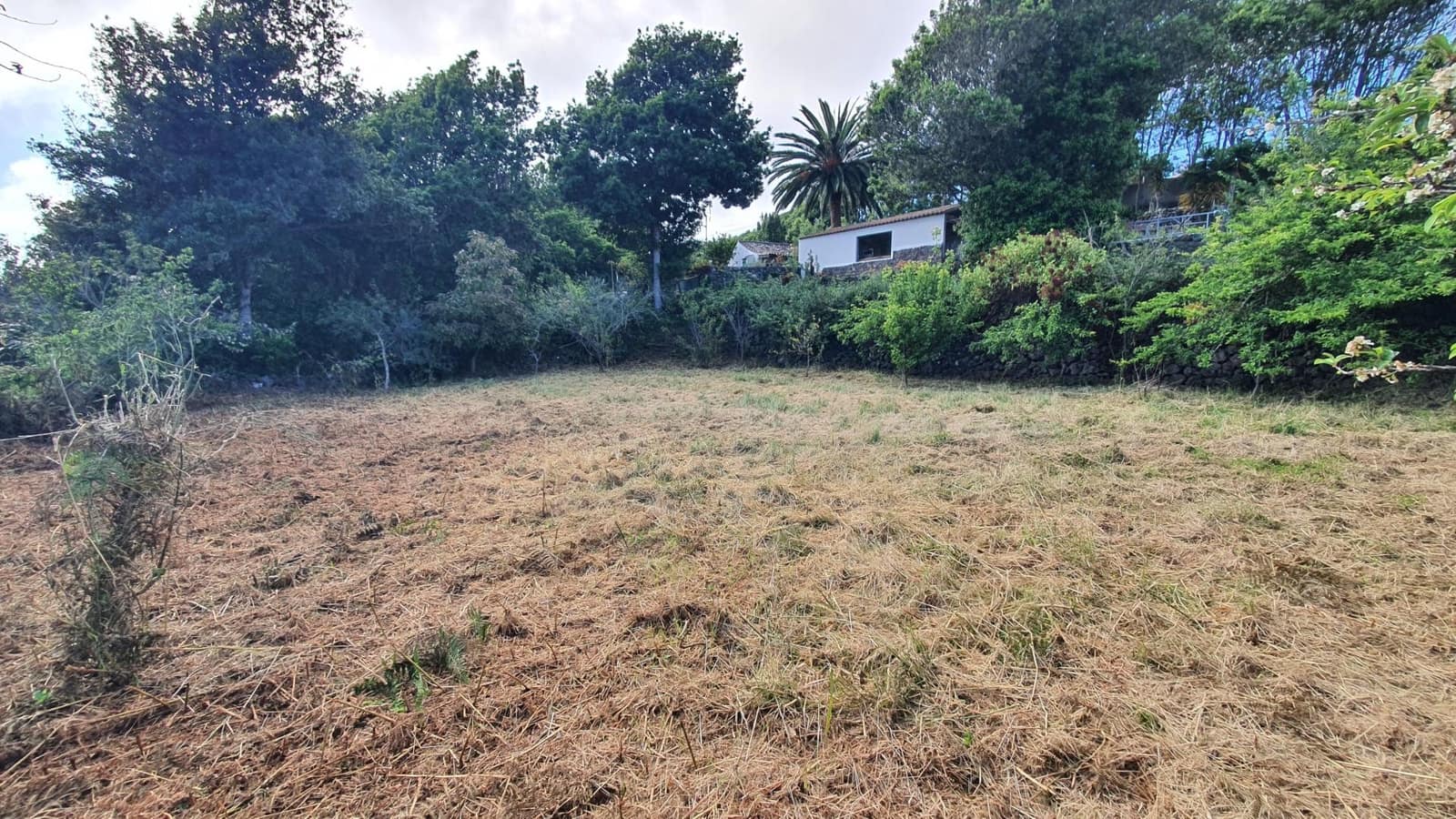 5 soveværelse Finca/Landehus til salg i El Tanque - € 368.000 (Ref: 9059554)