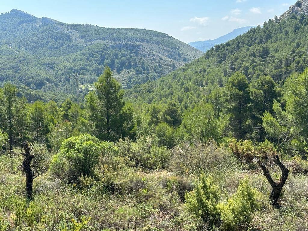 2 sypialnia Finka/Dom wiejski na sprzedaż w Confrides - 165 000 € (Ref: 8418652)