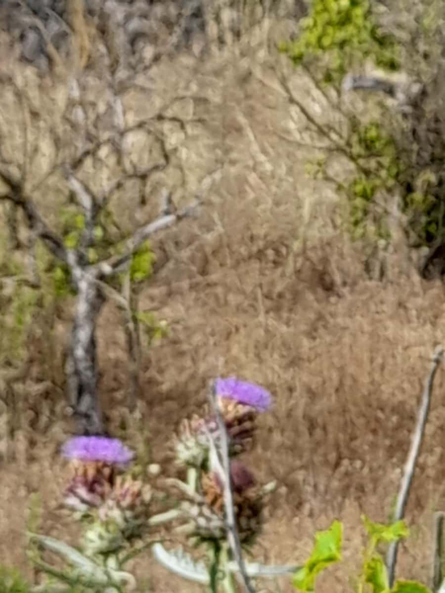 Terre non Aménagée à vendre à Guadalest - 66 000 € (Ref: 8419481)