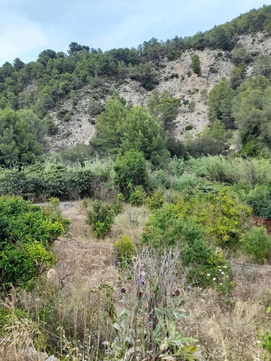 Terre non Aménagée à vendre à Guadalest - 66 000 € (Ref: 8419481)