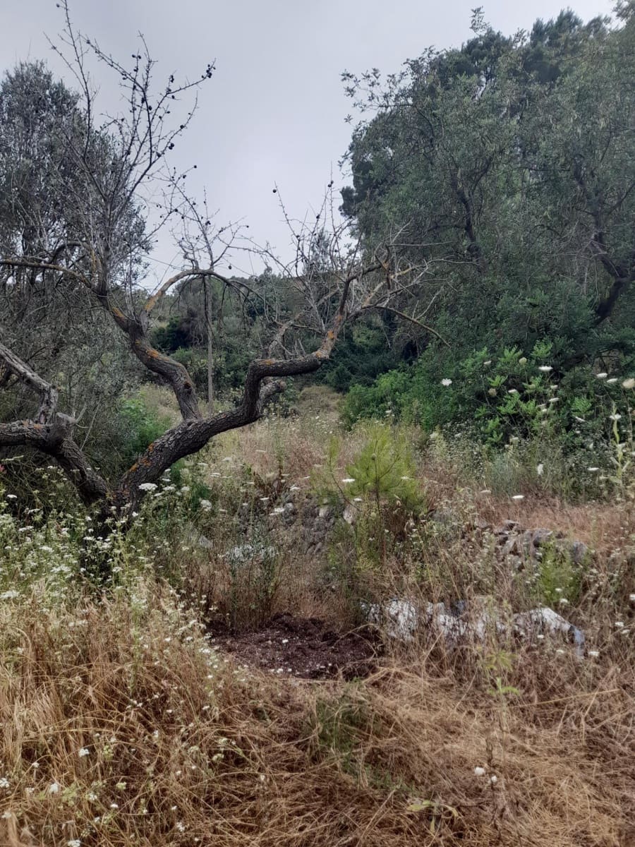 Terre non Aménagée à vendre à Guadalest - 66 000 € (Ref: 8419481)