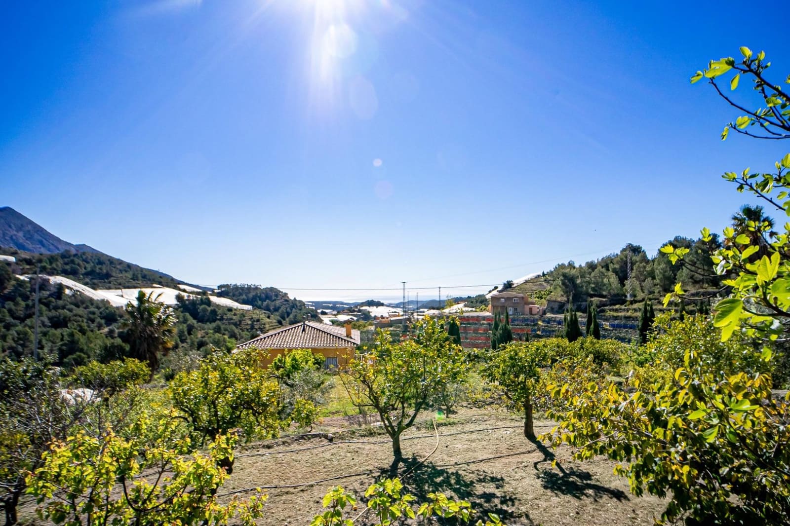 Finca/Casa Rural de 2 habitaciones en Callosa d'En Sarrià en venta - 179.000 € (Ref: 9761581)