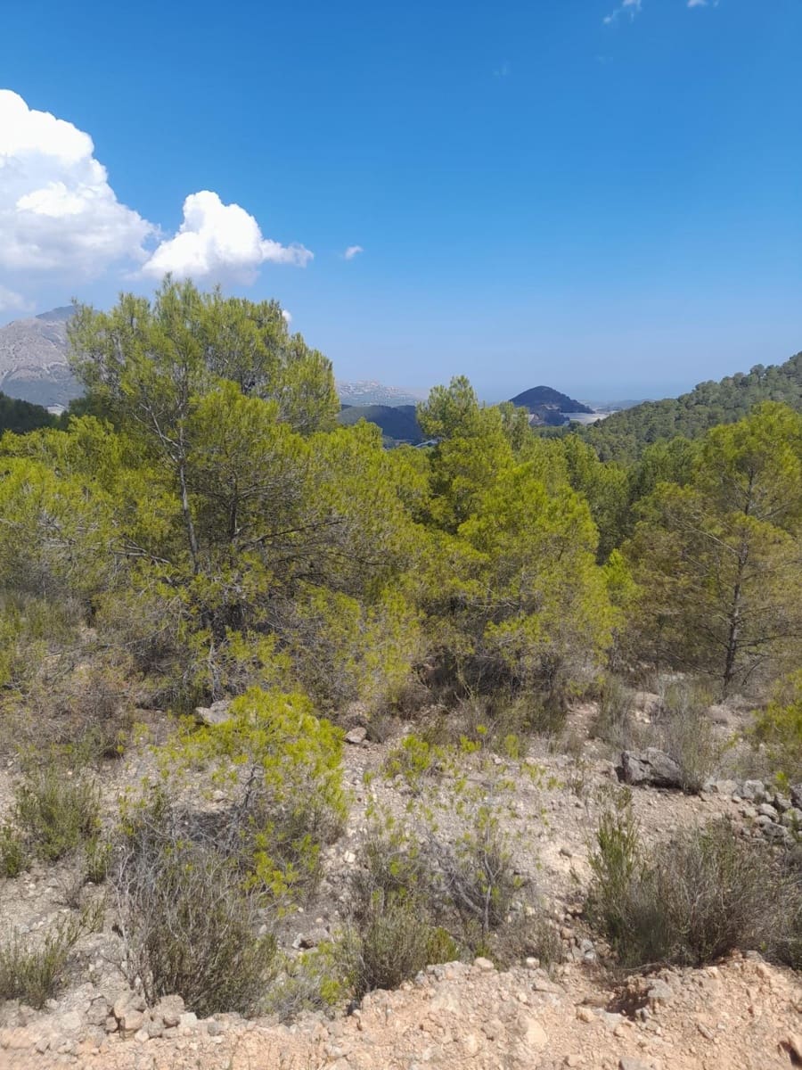 Terreno/Finca Rústica en Chirles en venta - 120.000 € (Ref: 9920508)