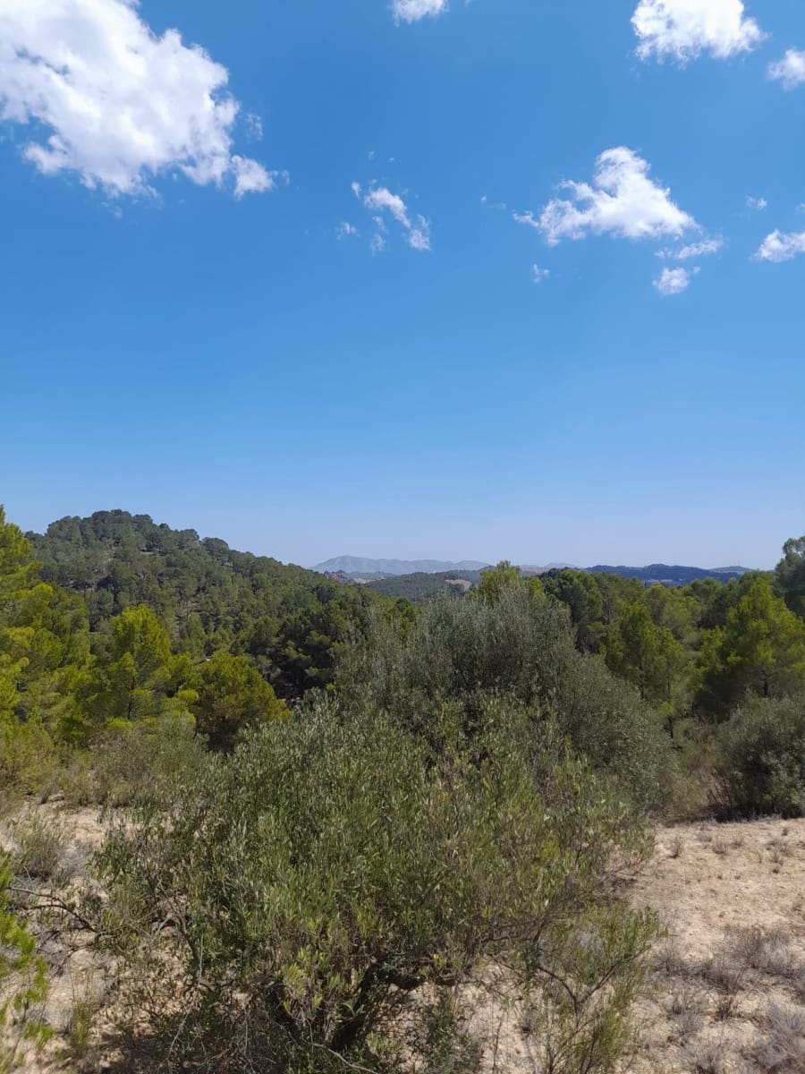 Terreno/Finca Rústica en Chirles en venta - 120.000 € (Ref: 9920508)