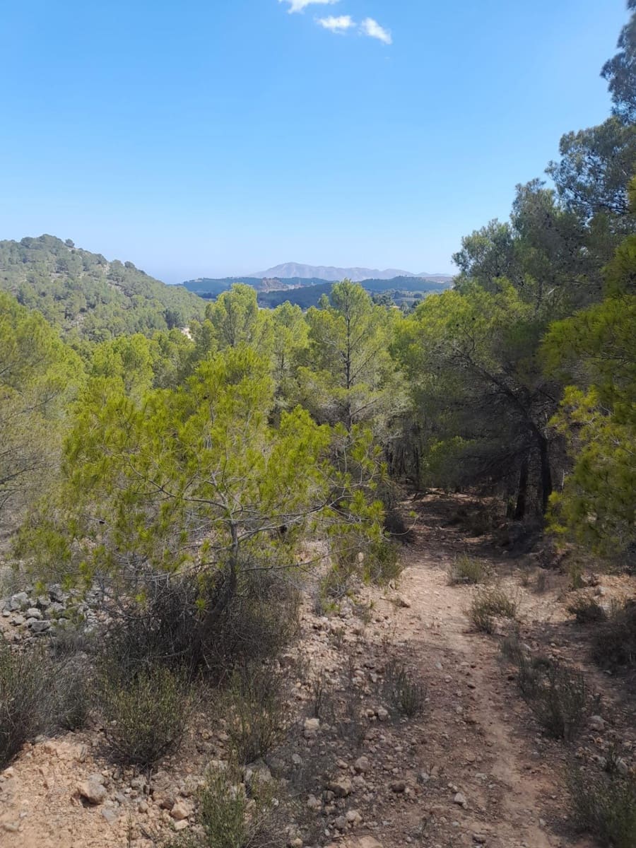 Terreno/Finca Rústica en Chirles en venta - 120.000 € (Ref: 9920508)