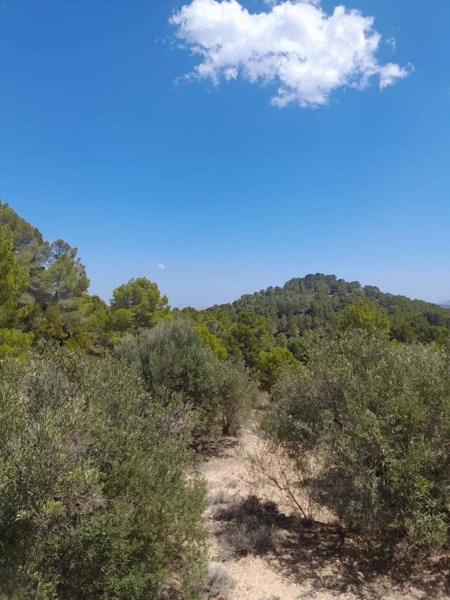 Terreno/Finca Rústica en Chirles en venta - 120.000 € (Ref: 9920508)