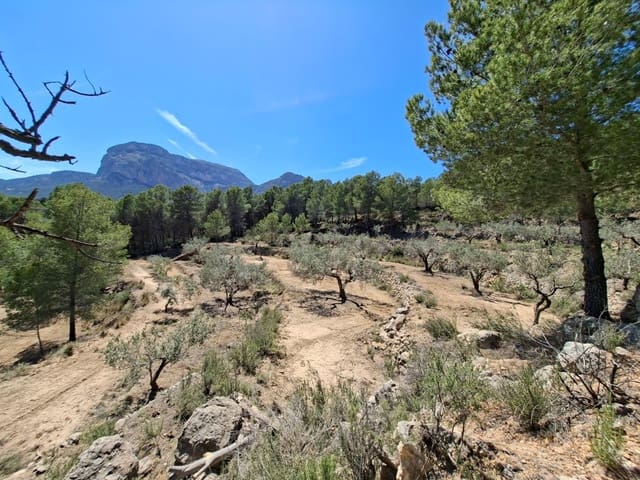 Terre non Aménagée à vendre à Chirles, Polop - 120 000 € (Ref: 9920508)