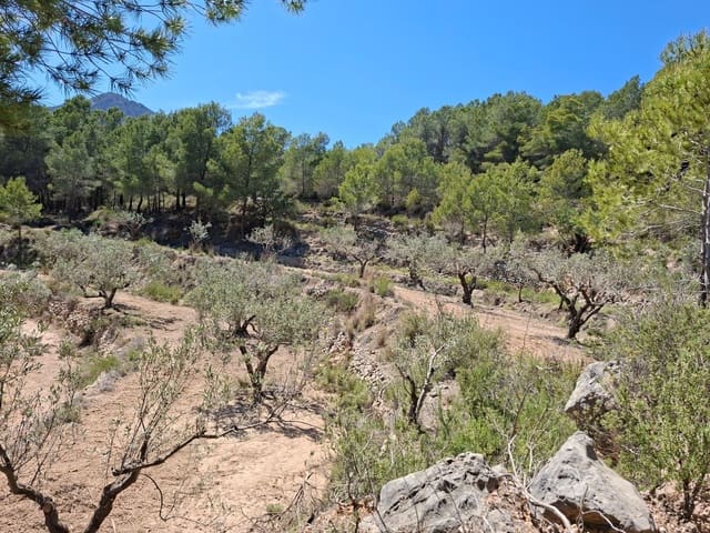 Terre non Aménagée à vendre à Chirles, Polop - 120 000 € (Ref: 9920508)