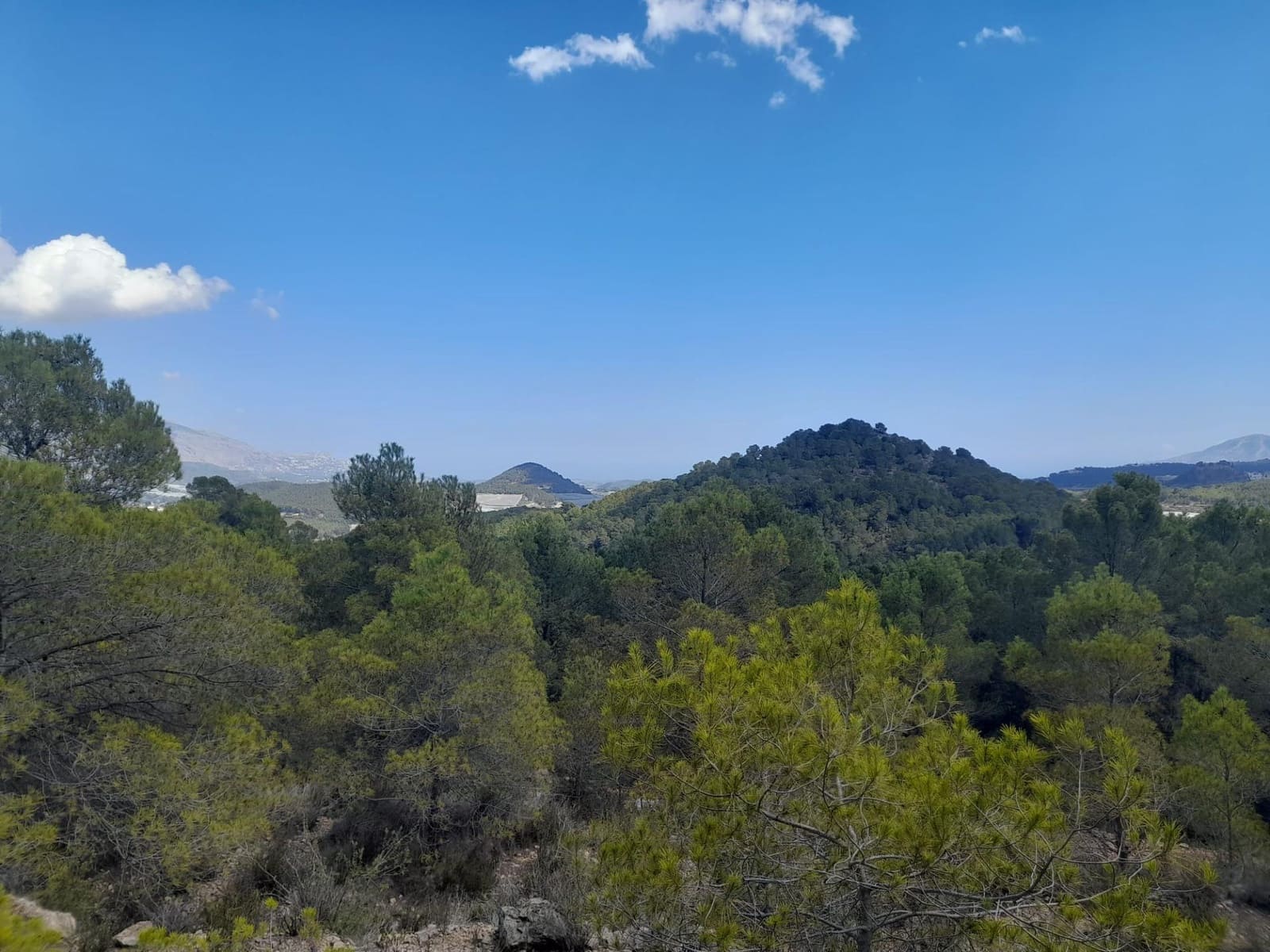 Terreno/Finca Rústica en Chirles en venta - 120.000 € (Ref: 9920508)