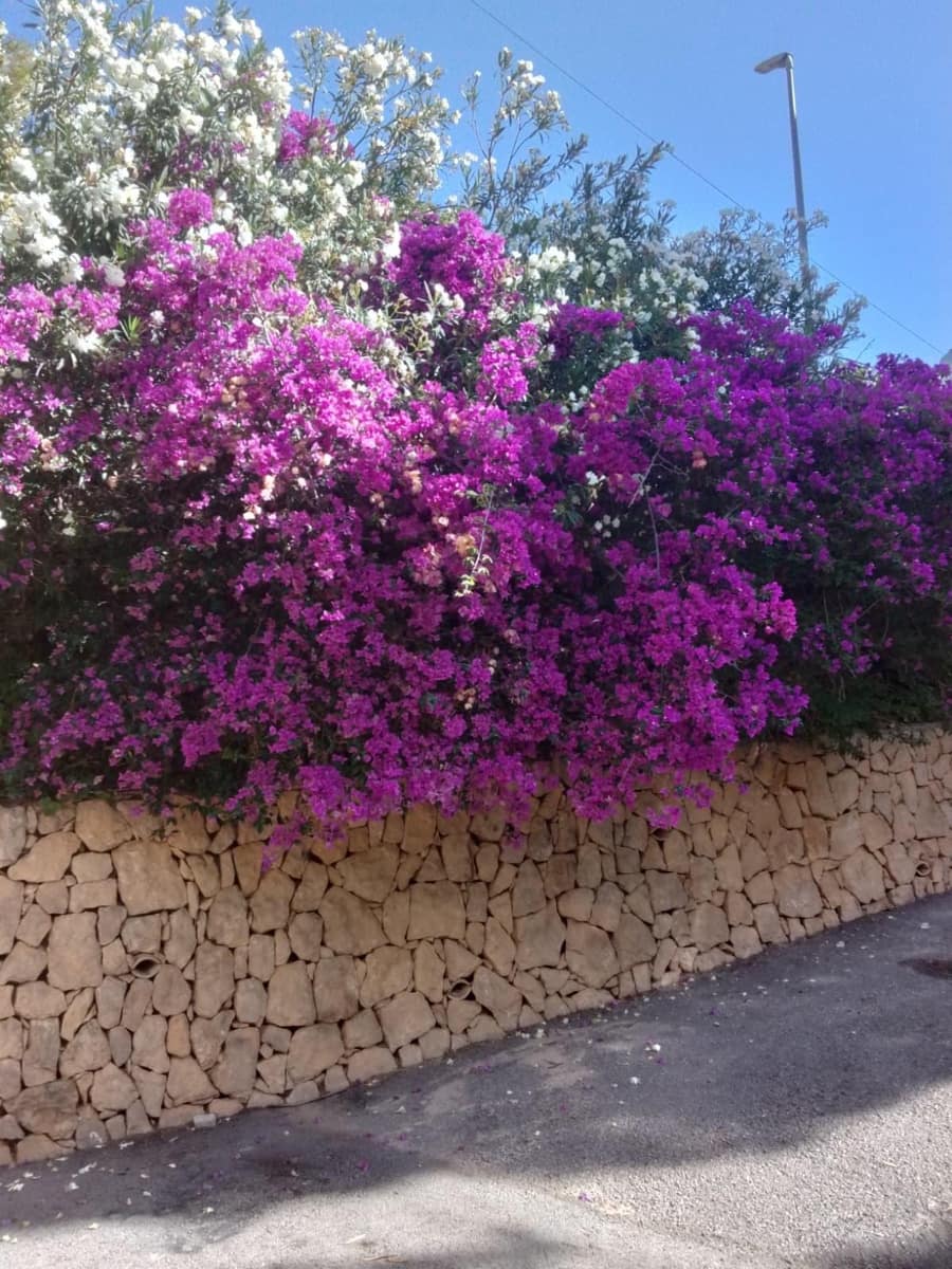 4 sypialnia Willa na sprzedaż w Altea la Vella z basenem - 525 000 € (Ref: 9973374)